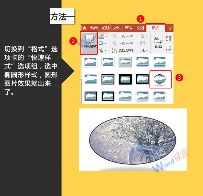 选中椭圆形样式